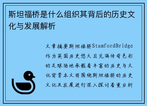 斯坦福桥是什么组织其背后的历史文化与发展解析
